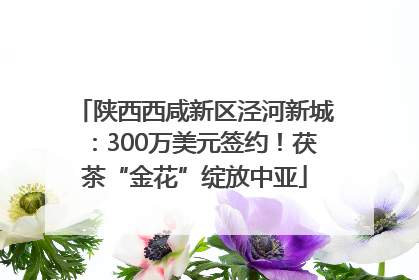 陕西西咸新区泾河新城：300万美元签约！茯茶“金花”绽放中亚